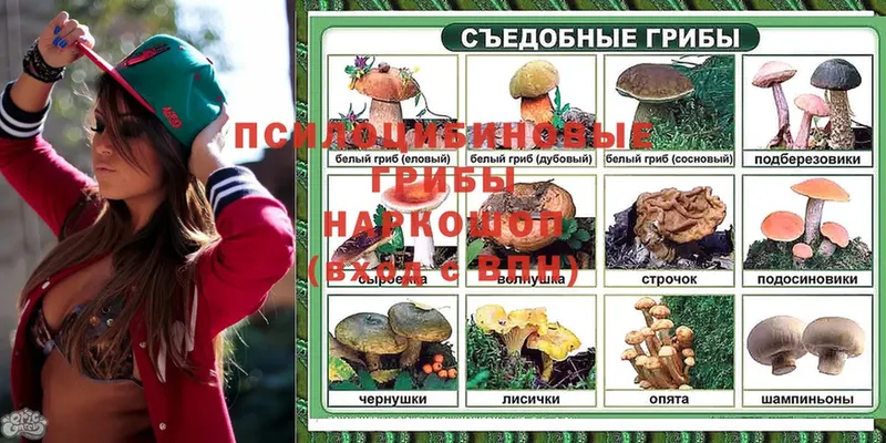 где купить наркотик  Петровск  Галлюциногенные грибы MAGIC MUSHROOMS 